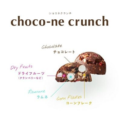 濃厚なチョコレートに、小粒のラムネやサクサクフレーク、クランベリーなどの果実の甘酸っぱさをギュッと詰め込みました